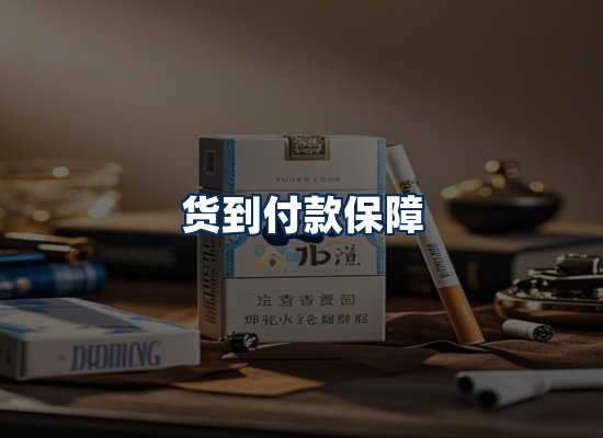 专业团队办公环境